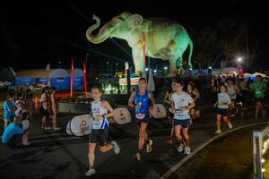 BIB: 
                            <button type="button" onclick="openModal(26552275)" class="btn btn-primary btn-sm float-right btn-popup" data-toggle="modal" data-target=".modal-high-quality">
                        <i class="fas fa-shopping-cart"></i> Add to Cart
                    </button>
                                            <button type="button" onclick="isThisMe(26552275, true)" class="btn btn-success btn-sm float-right btn-popup btn-isme hidden" data-toggle="tooltip" data-placement="bottom" title="นี่คือรูปของคุณใช่ไหม คลิกที่นี่เพื่อเอาเข้าอัลบั้ม">
                        <i class="fas fa-plus"></i> Add to album
                    </button>
                    <button type="button" onclick="isThisMe(26552275, false)" class="btn btn-warning btn-sm float-right btn-popup btn-isnotme hidden">
                        <i class="fas fa-ban"></i> Remove from album
                    </button>